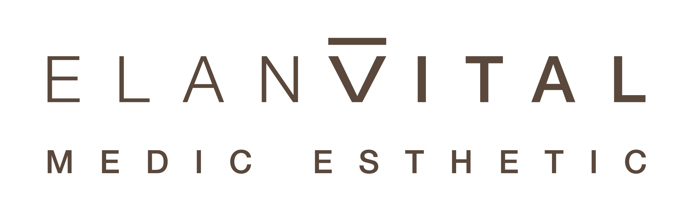 Logo EV completo